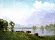 Albert Bierstadt Buffalo Country oil on canvas